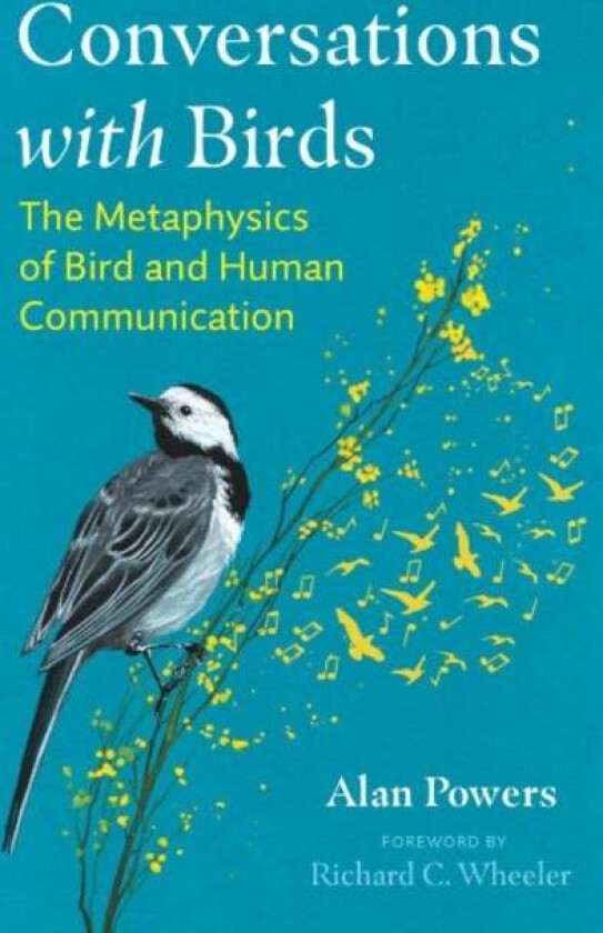 Conversations with Birds av Alan Powers