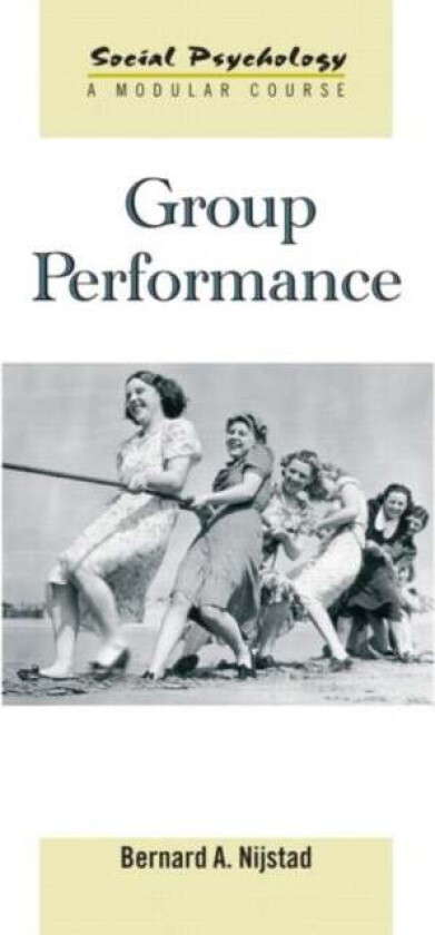 Group Performance av Bernard A. Nijstad