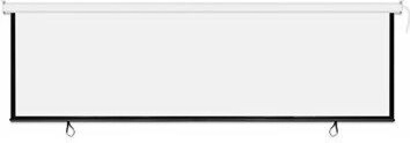 PRS 2.1 135" Motorized Screen