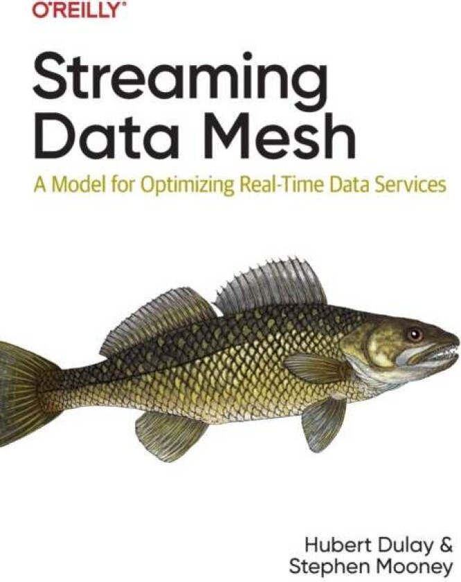 Streaming Data Mesh av Hubert Dulay, Stephen Mooney