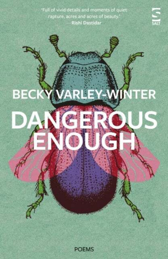 Dangerous Enough av Ms Becky Varley-Winter