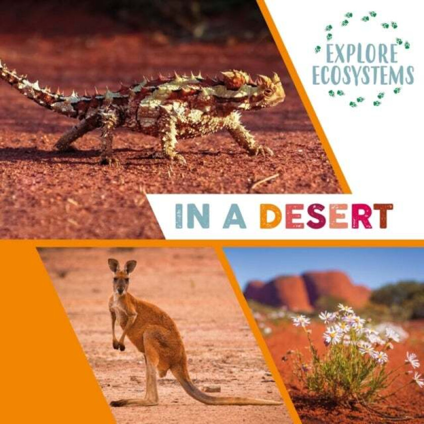 Explore Ecosystems: In a Desert av Sarah Ridley