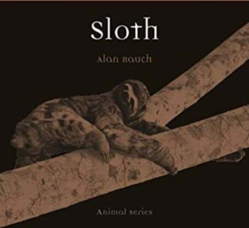 Sloth av Alan Rauch