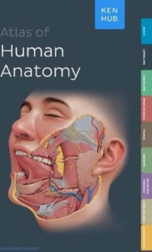 Kenhub Atlas of Human Anatomy