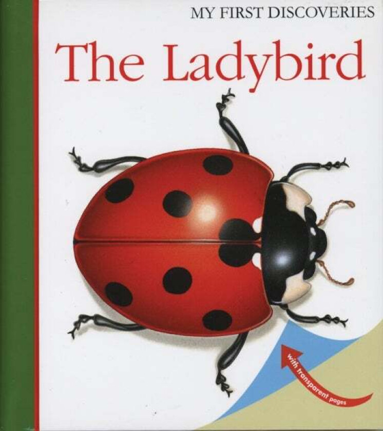 The Ladybird av Pascale de Bourgoing