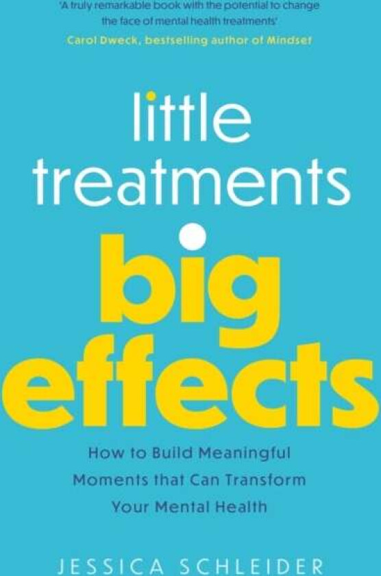 Little Treatments, Big Effects av Jessica Schleider