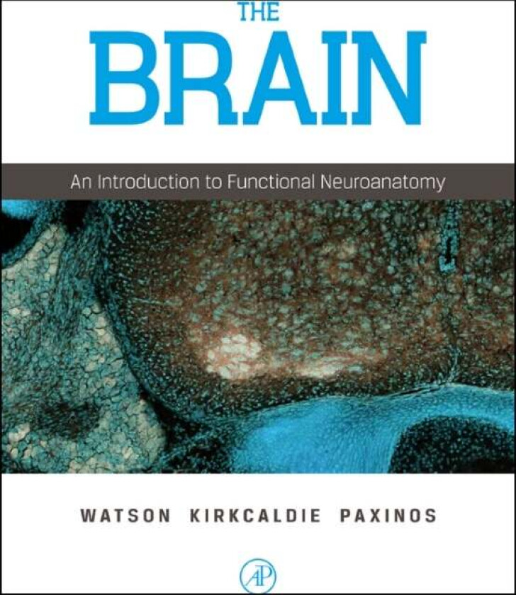 The Brain av Charles (John Curtin Distinguished Professor of Health Science Curtin University of Technology Perth Australia and Neuroscience Research