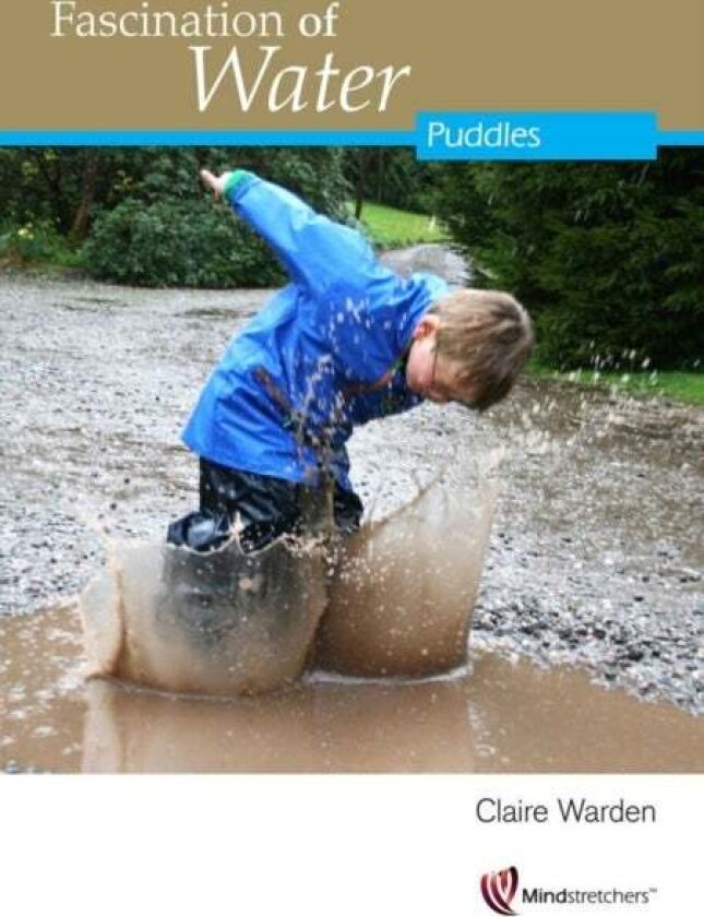 Fascination of Water: Puddles av Claire Warden