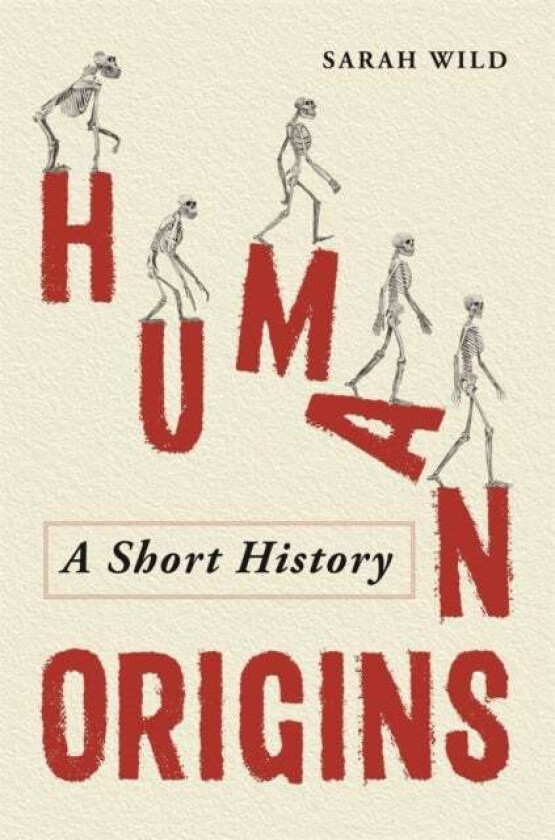 Human Origins av Sarah Wild