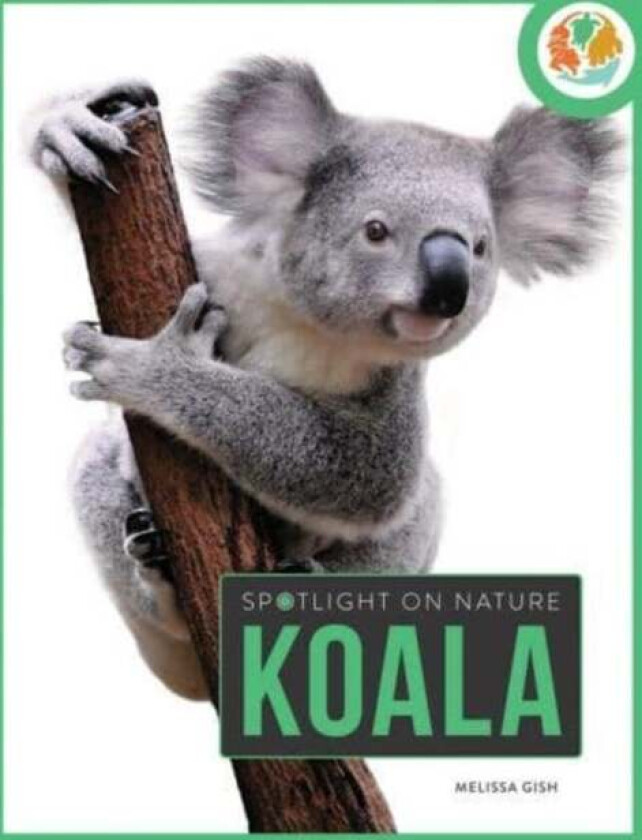 Spotlight on Nature: Koala av Melissa Gah