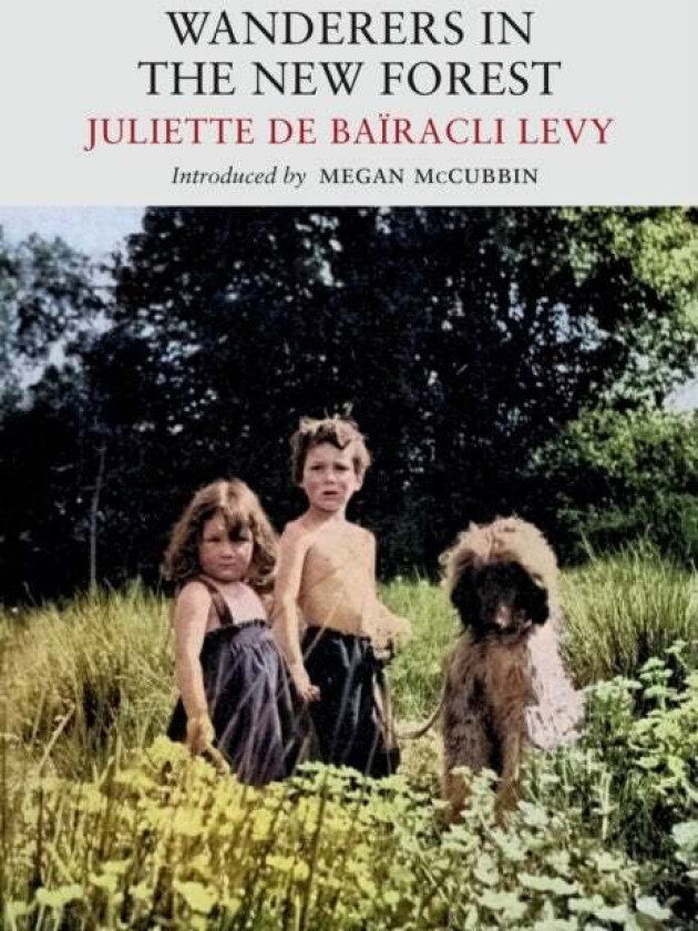 Wanderers in the New Forest av Juliette de Bairacli Levy