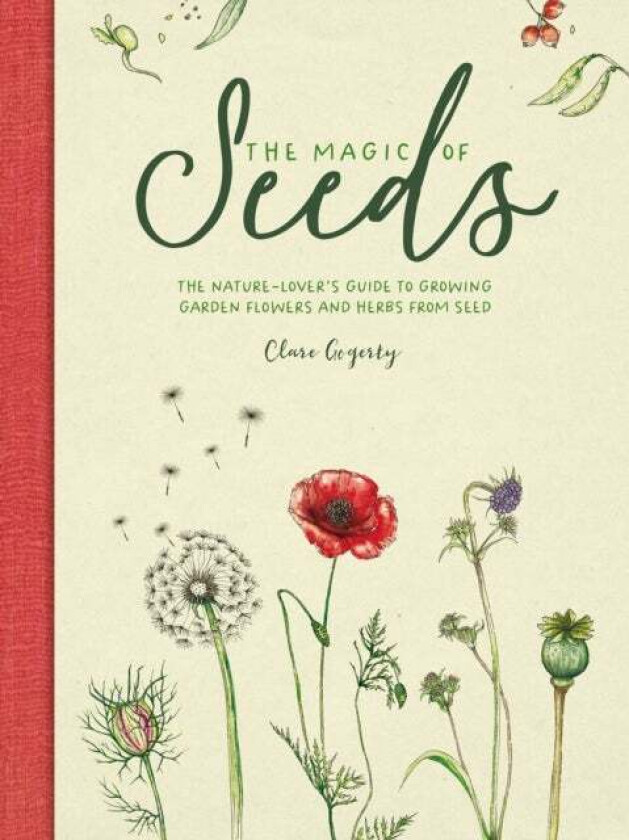 The Magic of Seeds av Clare (Author) Gogerty