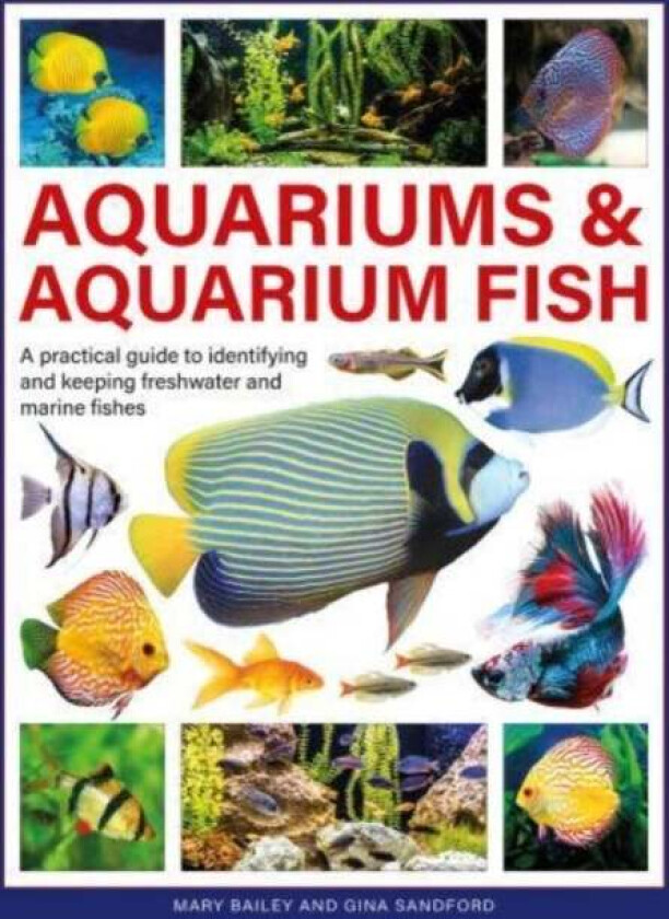 Aquariums & Aquarium Fish av Mary Bailey, Gina Sandford