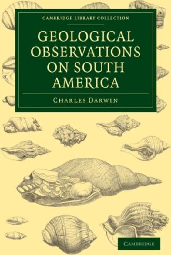 Geological Observations on South America av Charles Darwin