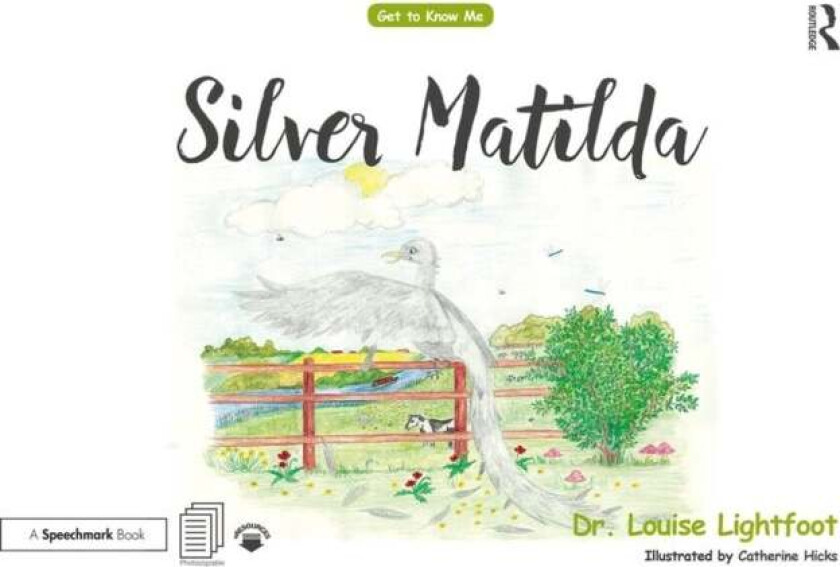 Silver Matilda av Louise Lightfoot