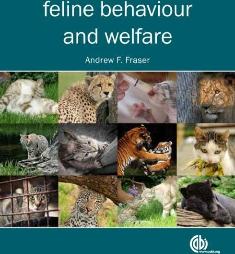 Feline Behaviour and Welfare av Andrew (formerly Memorial University of Newfoundland Canada) Fraser