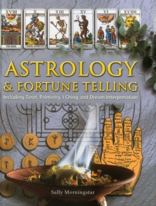 Astrology and Fortune Telling av Sally Morningstar