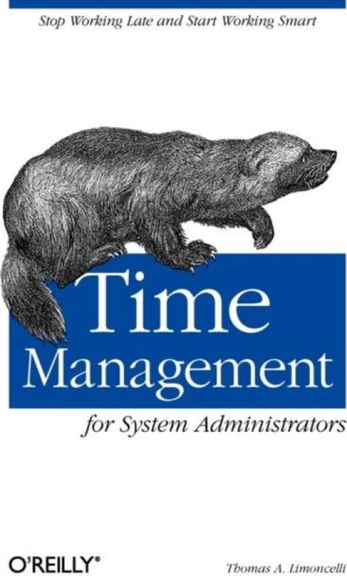 Time Management for System Administrators av Thomas A Limoncelli