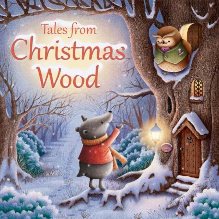 Tales from Christmas Wood av Suzy Senior