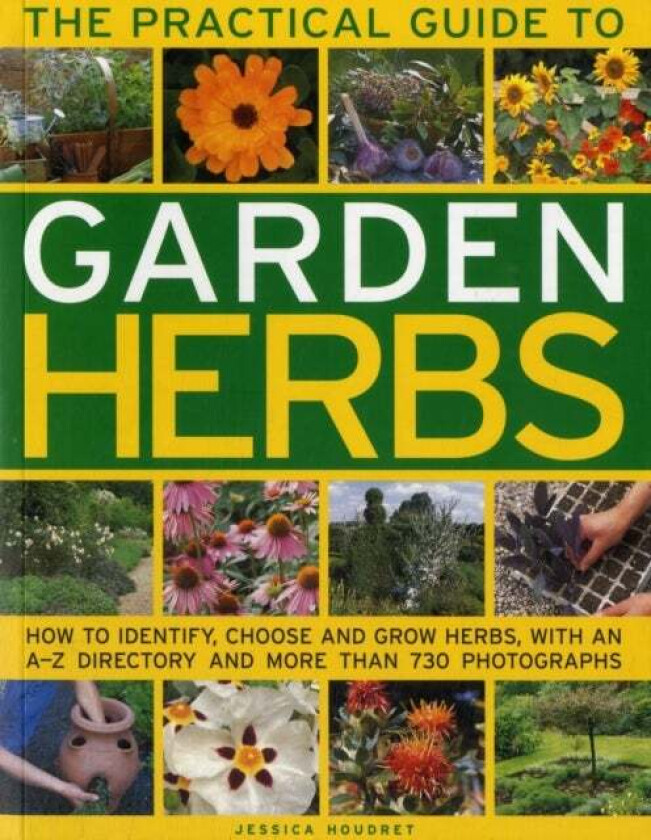 Practical Guide to Garden Herbs av Jessica Houdret