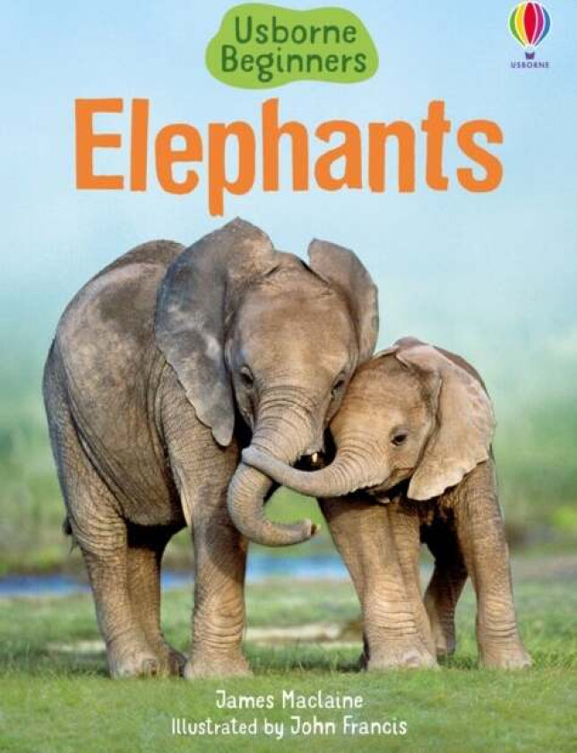 Elephants av James Maclaine