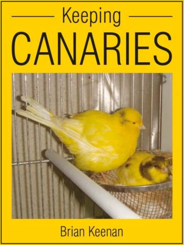 Keeping Canaries av Brian Keenan