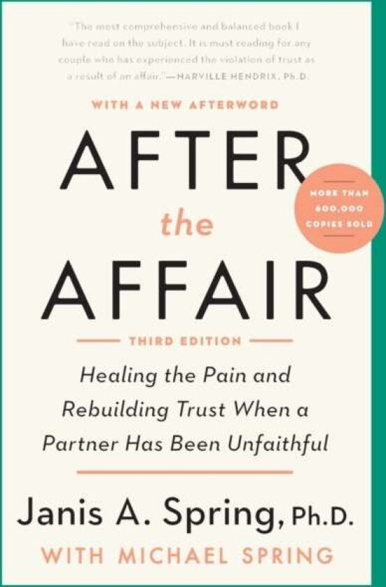 After the Affair av Janis A. Spring