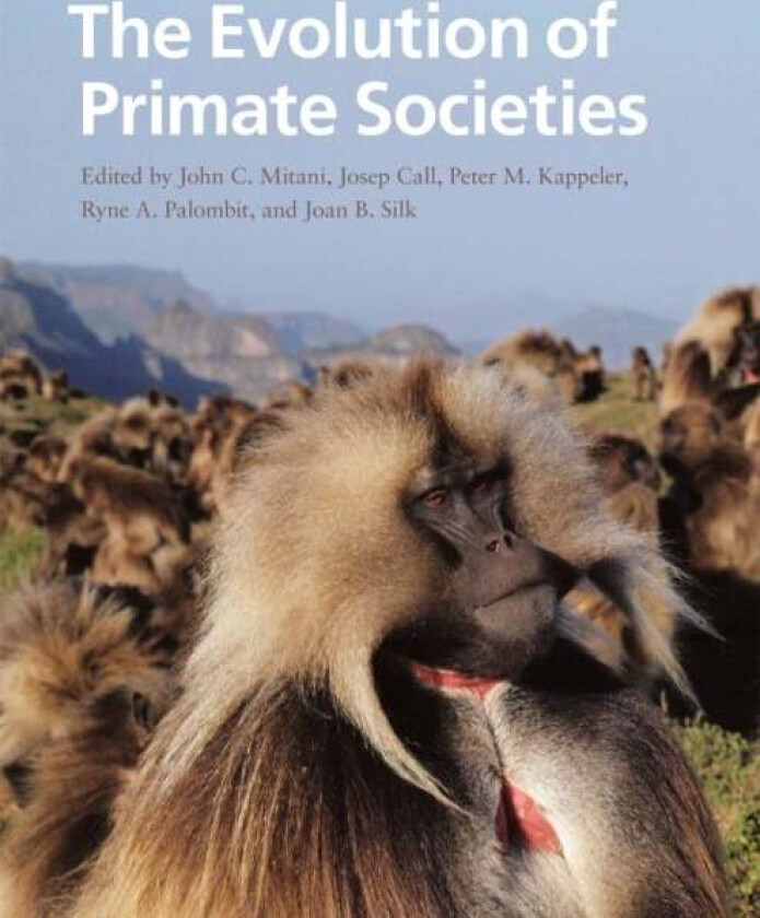 The Evolution of Primate Societies av John C. Mitani