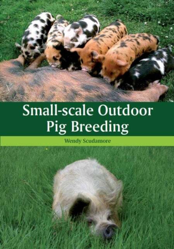 Small-scale Outdoor Pig Breeding av Wendy Scudamore