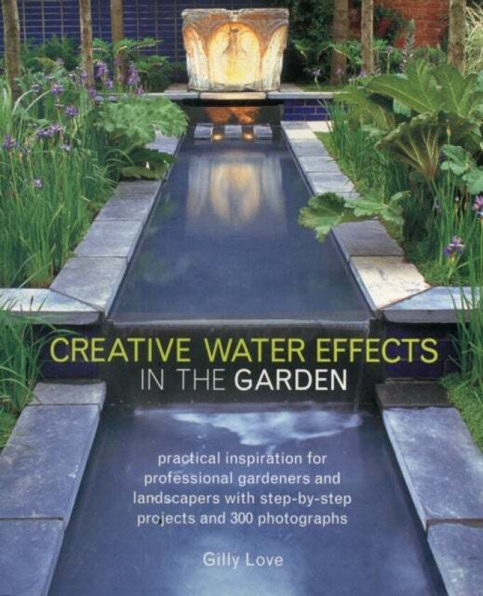 Creative Water Effects in the Garden av Gilly Love