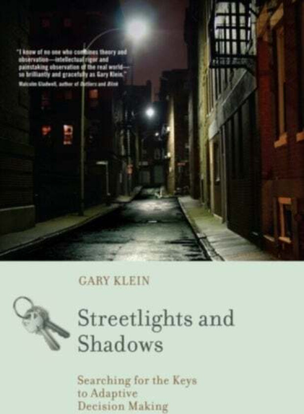 Streetlights and Shadows av Gary A. (Dr.) Klein