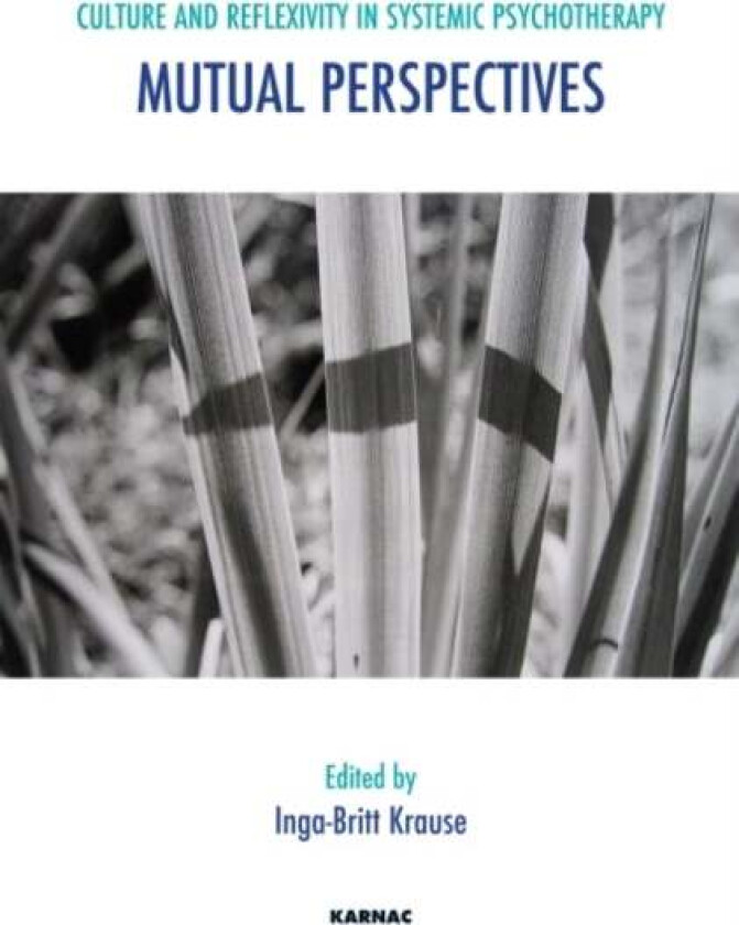 Culture and Reflexivity in Systemic Psychotherapy av Inga-Britt Krause