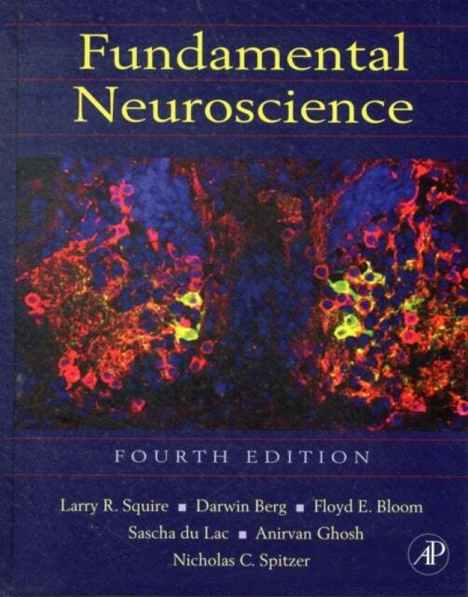Fundamental Neuroscience
