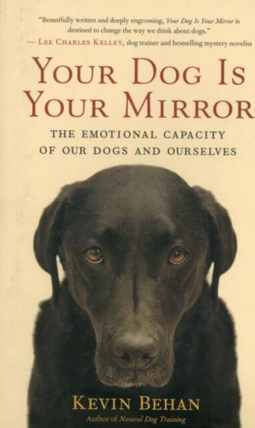 Your Dog is Your Mirror av Kevin Behan