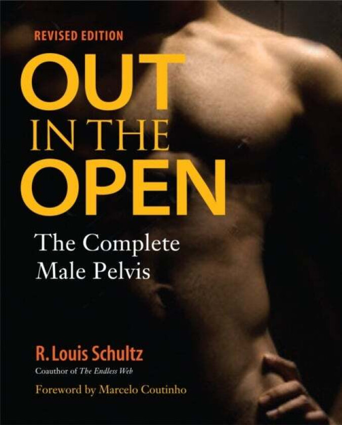 Out in the Open, Revised Edition av R. Louis Schultz