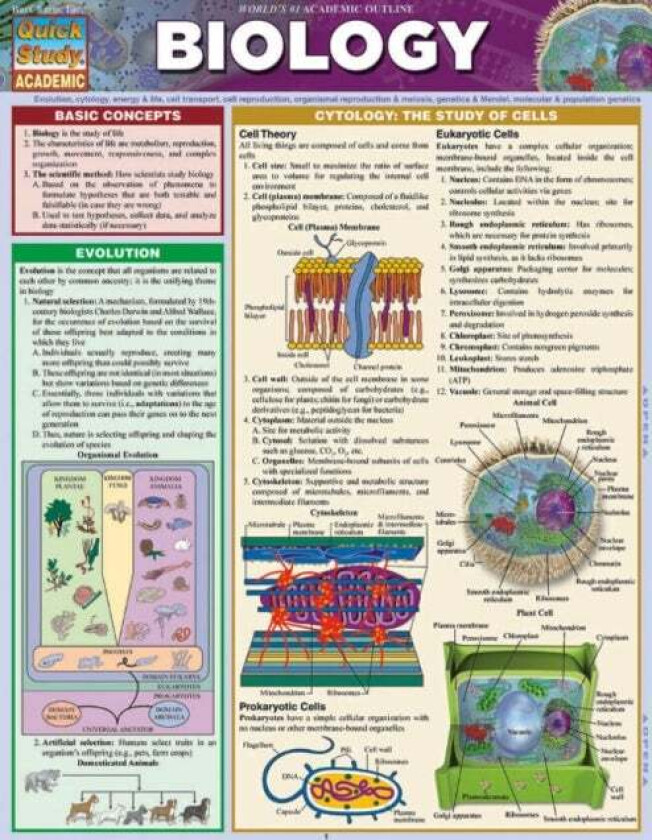 Biology av Randy Brooks