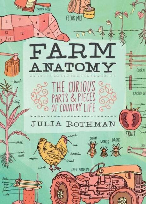 Farm Anatomy av Julia Rothman