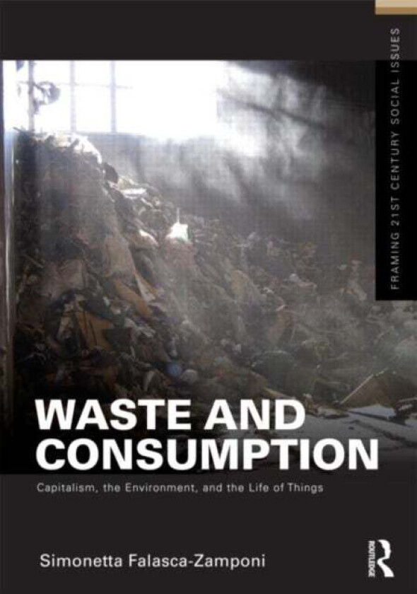 Waste and Consumption av Simonetta Falasca-Zamponi