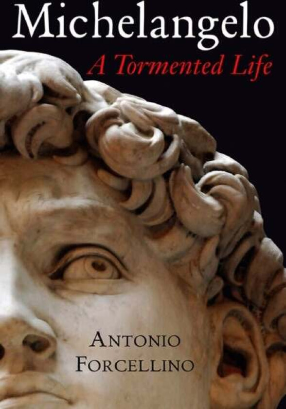 Michelangelo av Antonio Forcellino