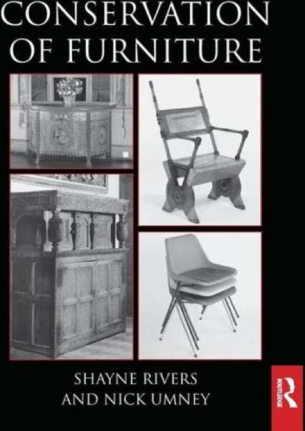 Conservation of Furniture av Shayne Rivers, Nick Umney