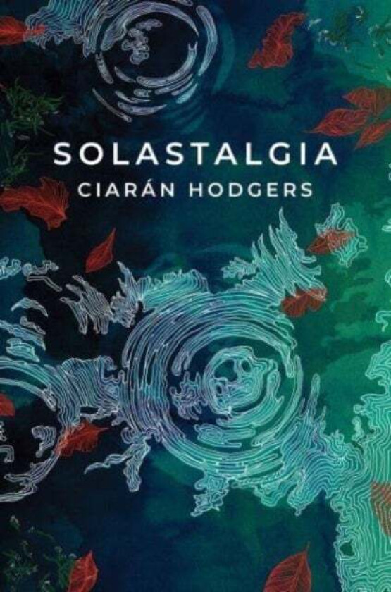 Solastalgia av Ciaran Hodgers