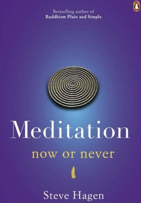 Meditation Now or Never av Steve Hagen