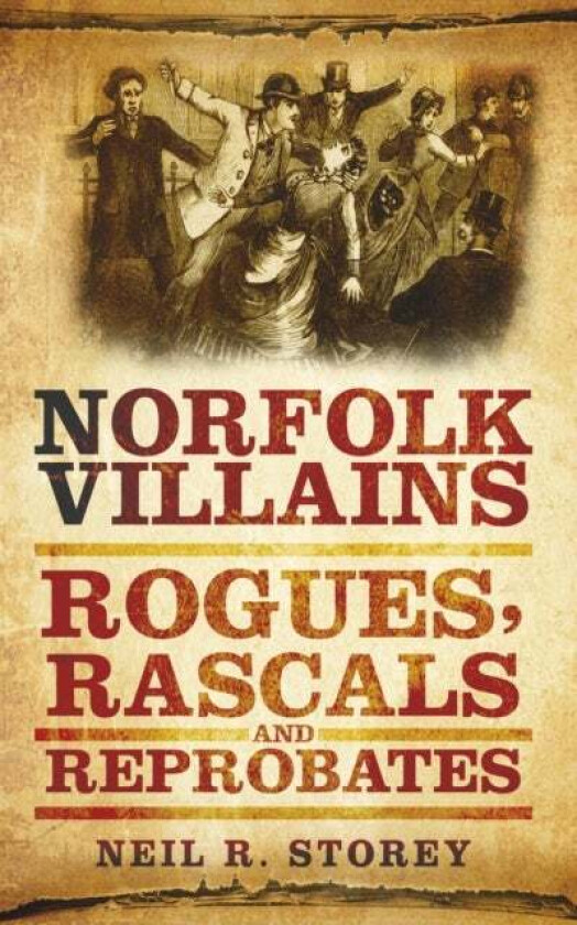 Norfolk Villains av Neil R Storey