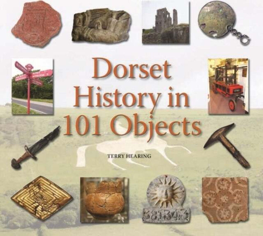 Dorset History in 101 Objects av Terry Hearing