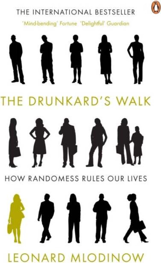 The Drunkard's Walk av Leonard Mlodinow