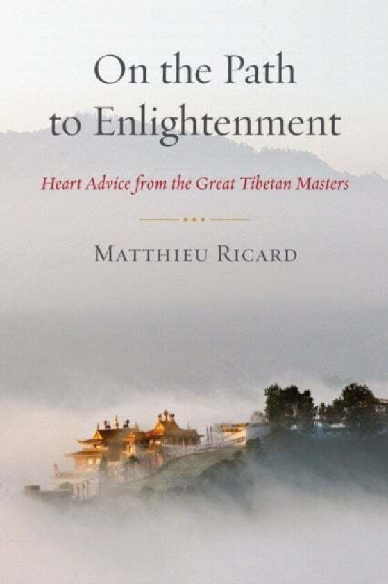 On the Path to Enlightenment av Matthieu Ricard