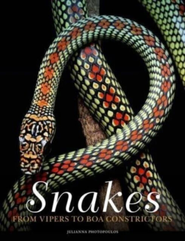 Snakes av Julianna Photopoulos