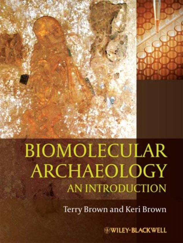 Biomolecular Archaeology av T. A. (University of Manchester UK) Brown, Keri (University of Manchester UK) Brown