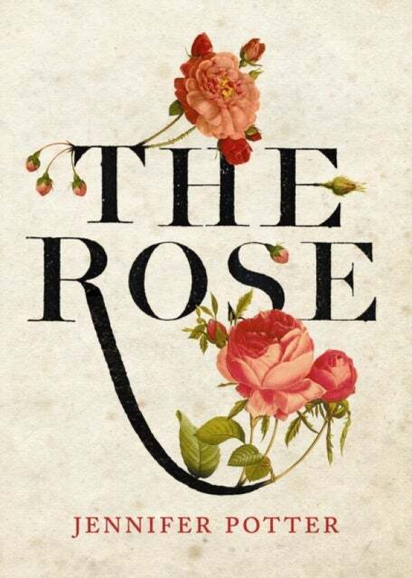 The Rose av Jennifer Potter