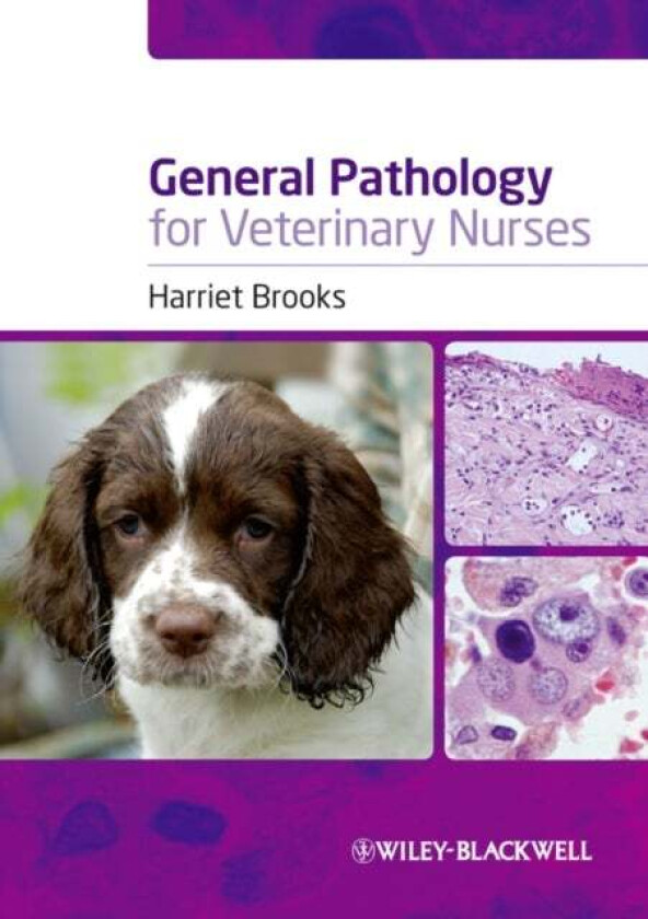 General Pathology for Veterinary Nurses av Harriet (Royal Veterinary College N Mymms UK) Brooks